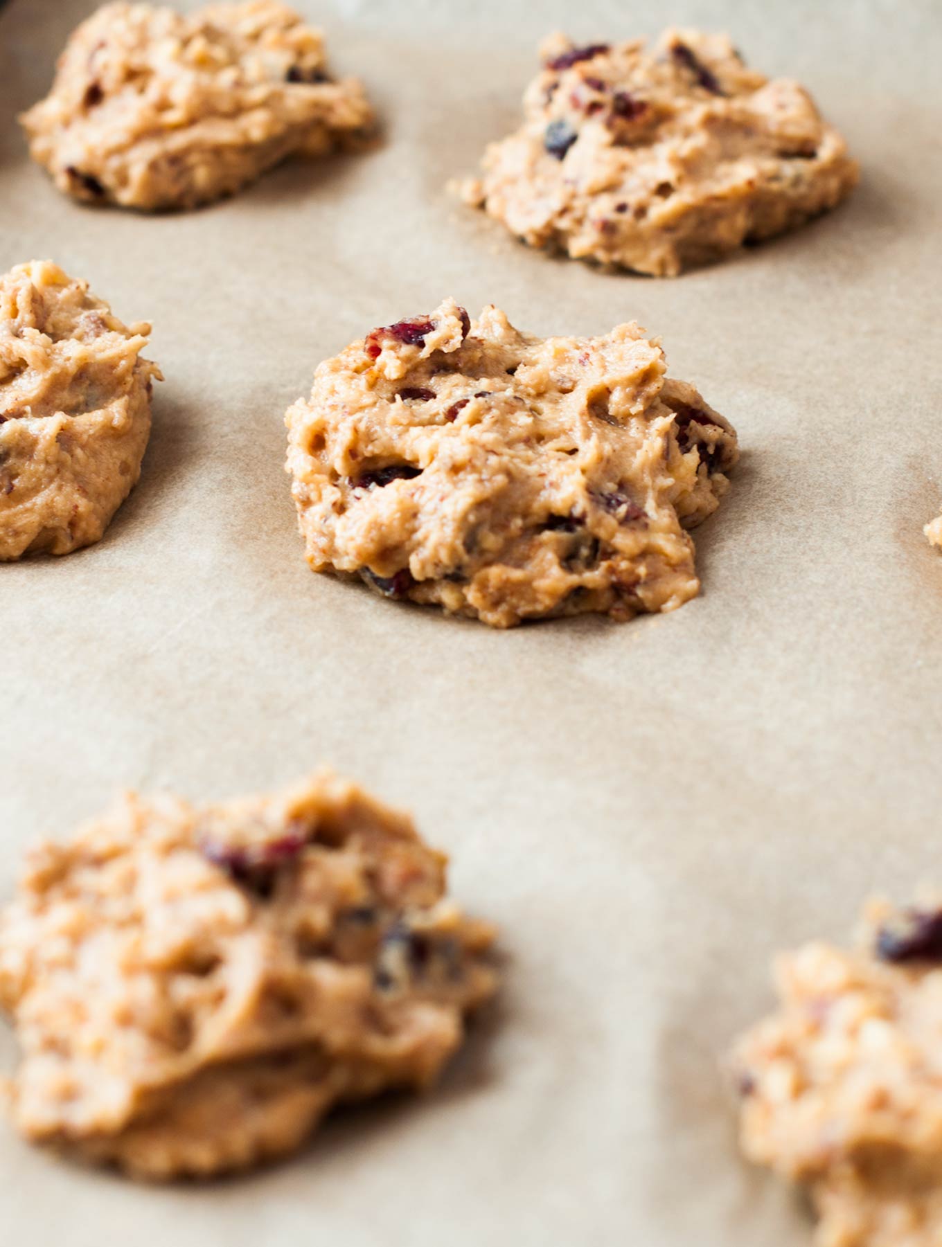 Gluten Free Baking Cranberry Cardamon Scones Batter