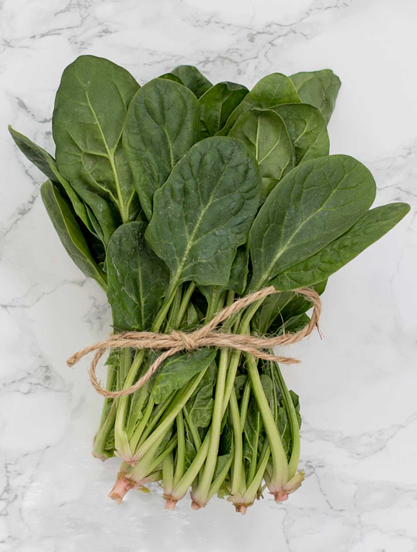 Bundle of fresh spinach