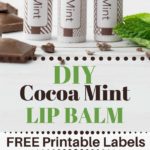 DIY Cocoa Mint Lip Balm with Free Printable Labels