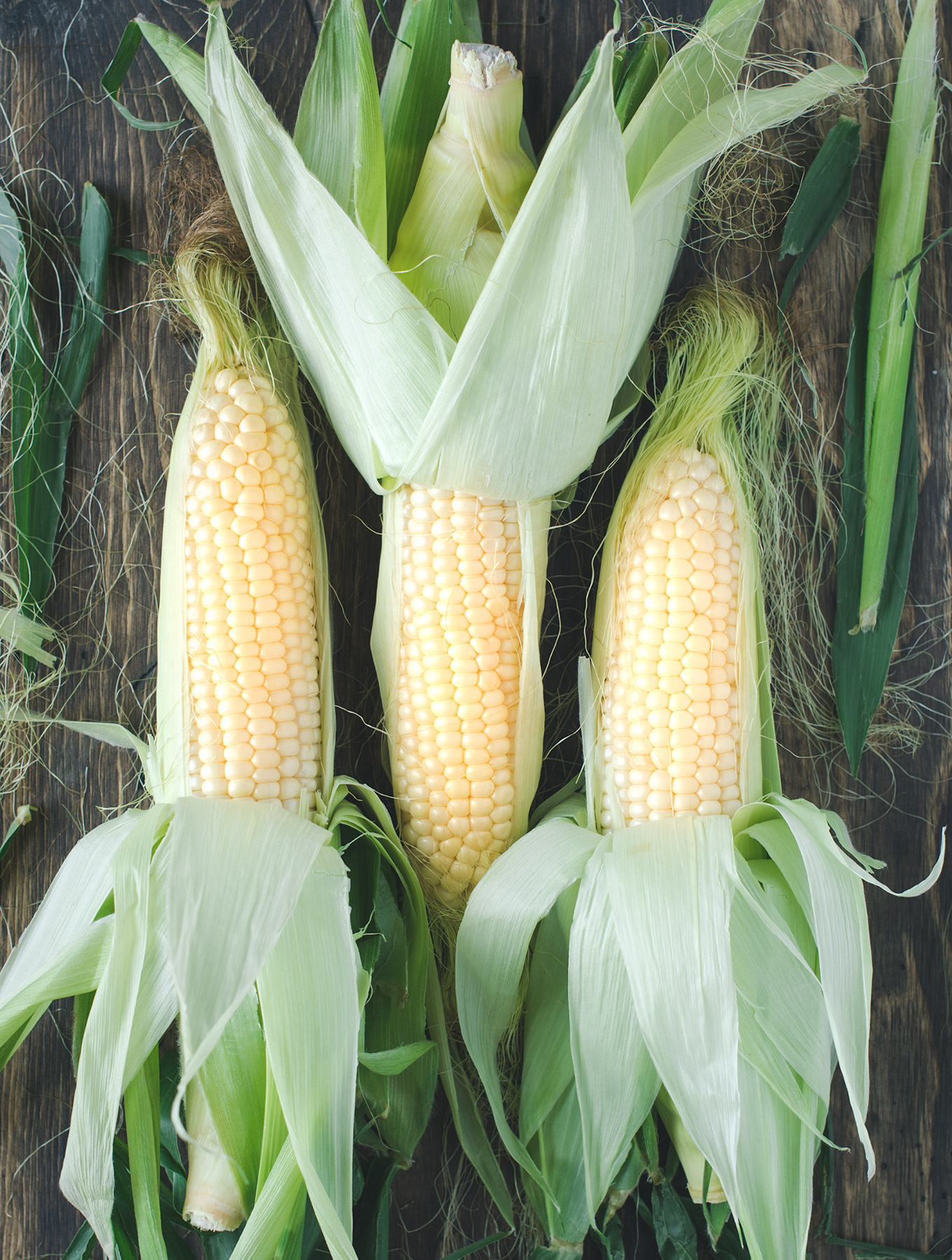 Stalks of fresh corn