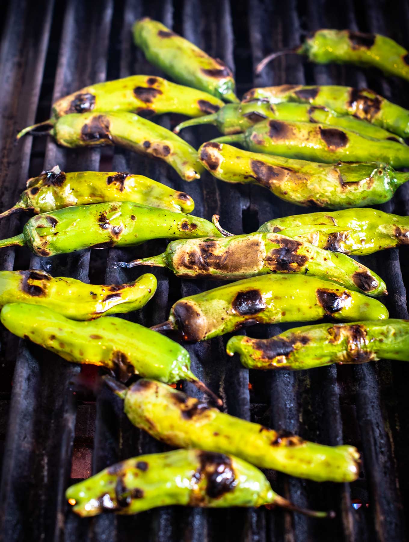 Shishito peppers on the grill