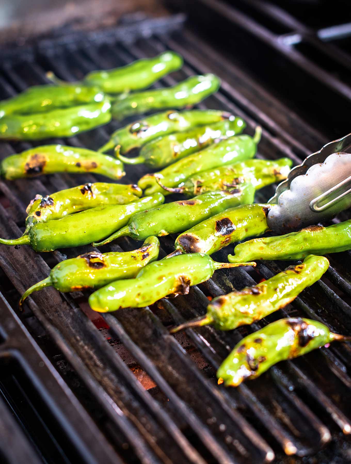 Shishito peppers on the grill