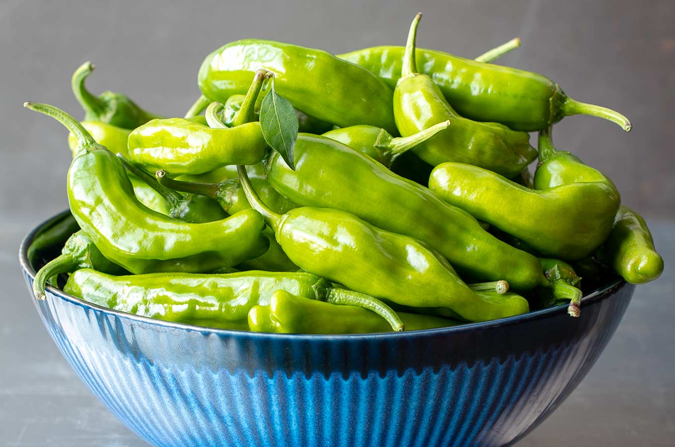 Blue bowl of shishito peppers close up