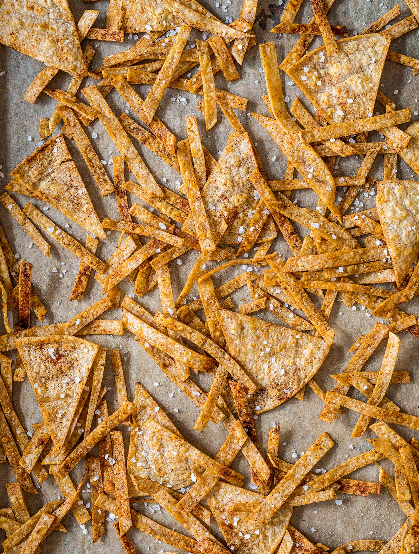 Tortilla strips and chips on a baking sheet