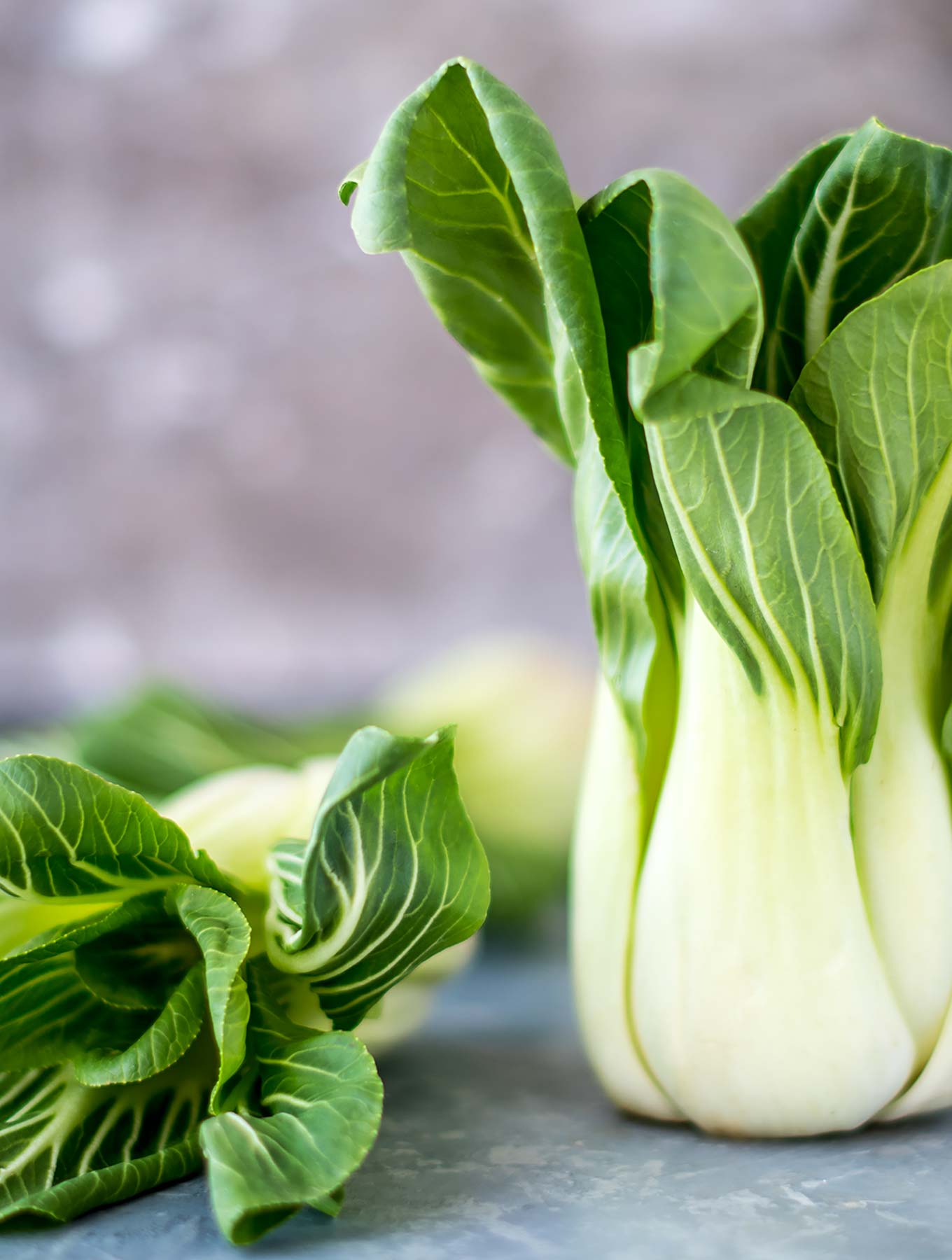 Bok choy on a gray surface