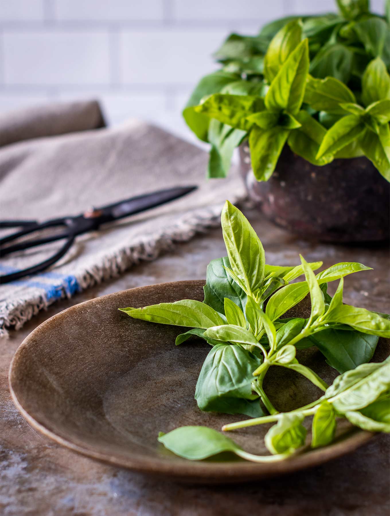 shallow bowl of fresh basil