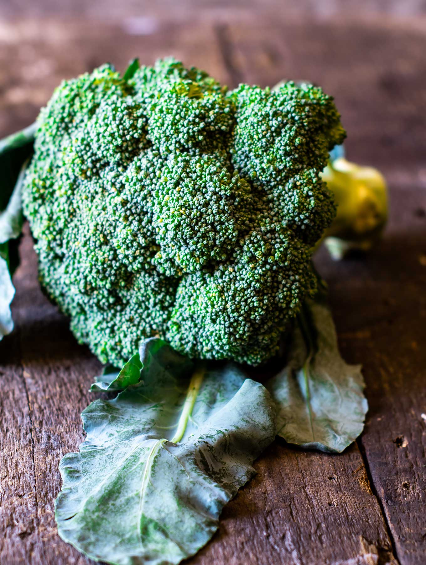 Head of broccoli on wood surface