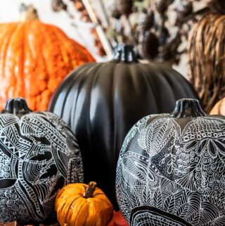 Grouping of zentangle pumpkins for fall