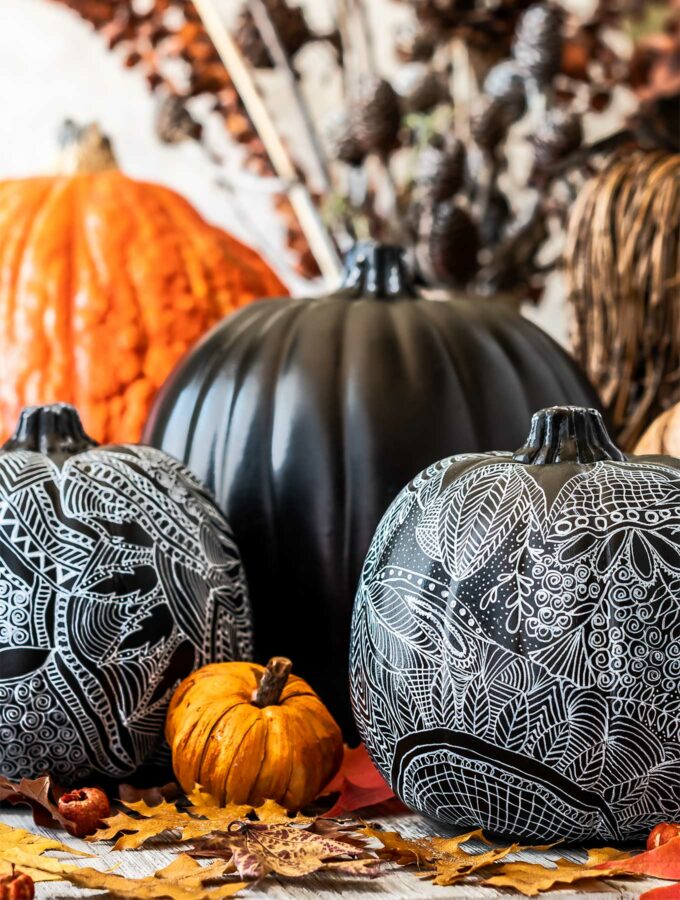 Grouping of zentangle pumpkins for fall